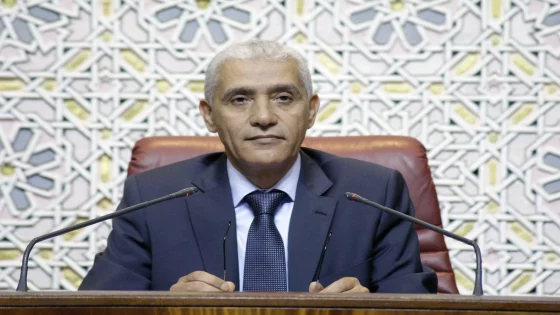 Lower House Speaker on Working Visit to Mauritania