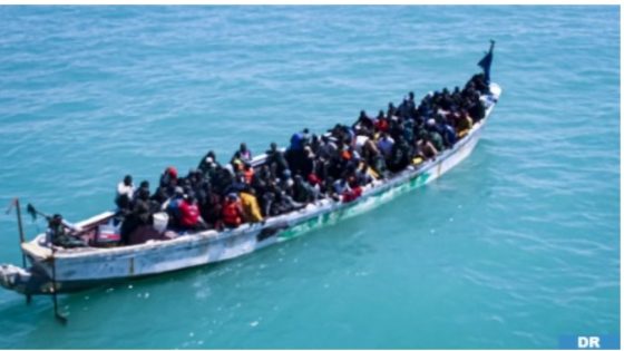 Royal Navy Rescues 165 Sub-Saharan Would-be Migrants Off Dakhla