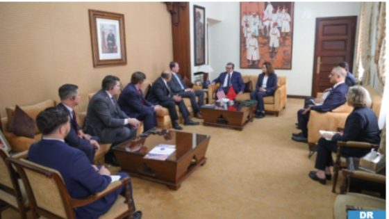 Gov’t Chief Receives US Congressmen Delegation