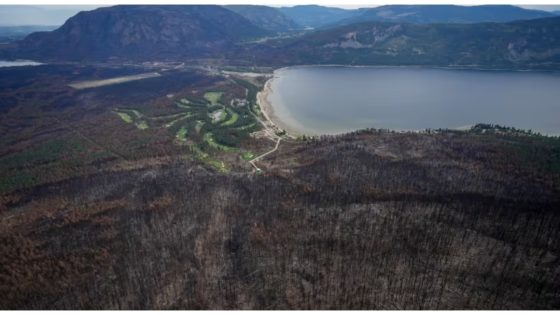 Canada’s wildfires blamed for rise in global loss of tree cover