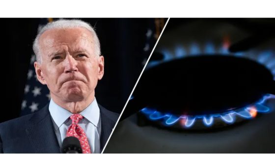 Biden admin pressured Snopes to change its fact-check rating on rumored gas stove ban, internal emails show