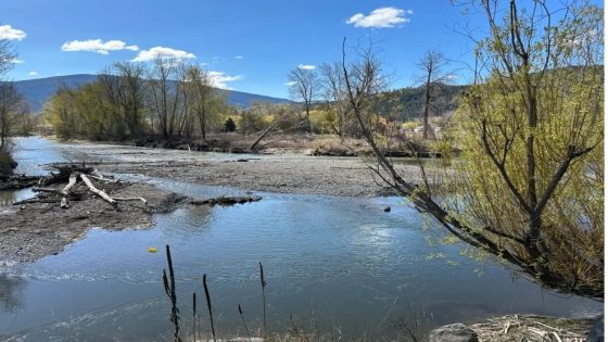 Taps will be turned off if water rules are defied: Merritt mayor