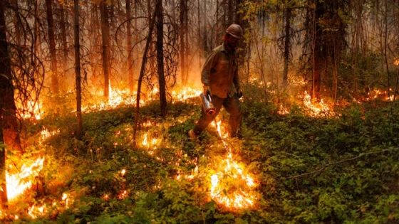 Canada at risk of another devastating wildfire season, federal government warns