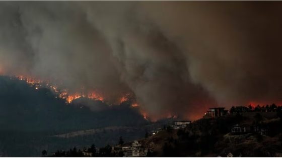 Western Canada and the North face an above average wildfire risk in June, federal officials say