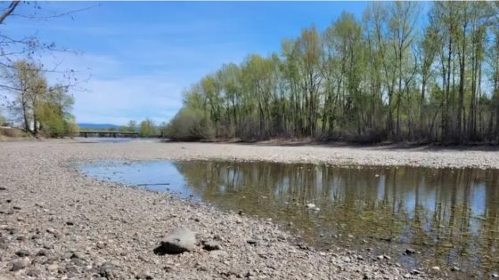 ‘Every drop counts’: B.C. prepares for impacts of ongoing drought