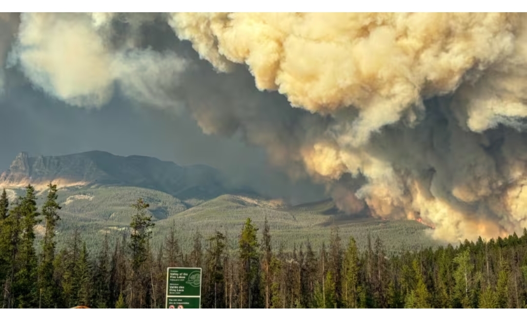 Did a tornado touch down during the Jasper wildfire? Researchers want to know