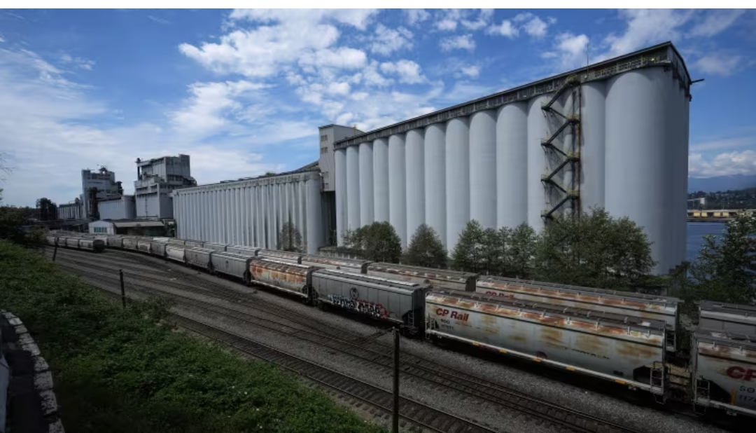 Grain terminal workers reach tentative deal, ending 4-day strike