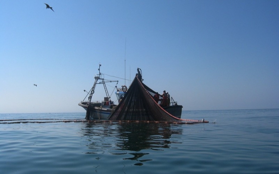 Andalusia Warns EU Court’s Morocco Ruling Severely Harms Its Fishing Fleet