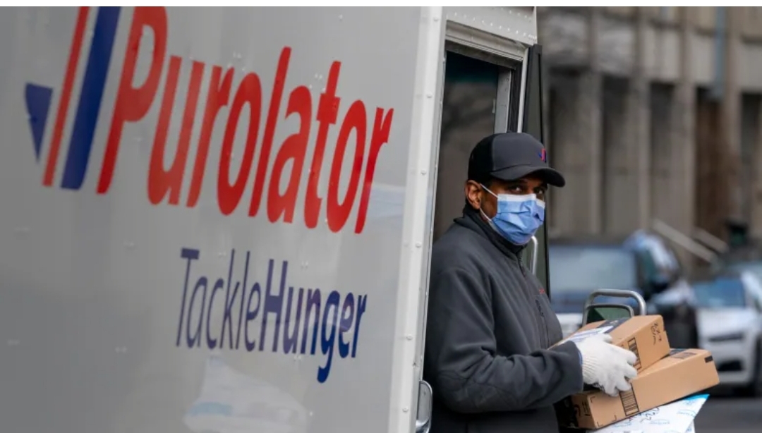 Purolator, UPS pause shipments from couriers amid backlog from Canada Post strike