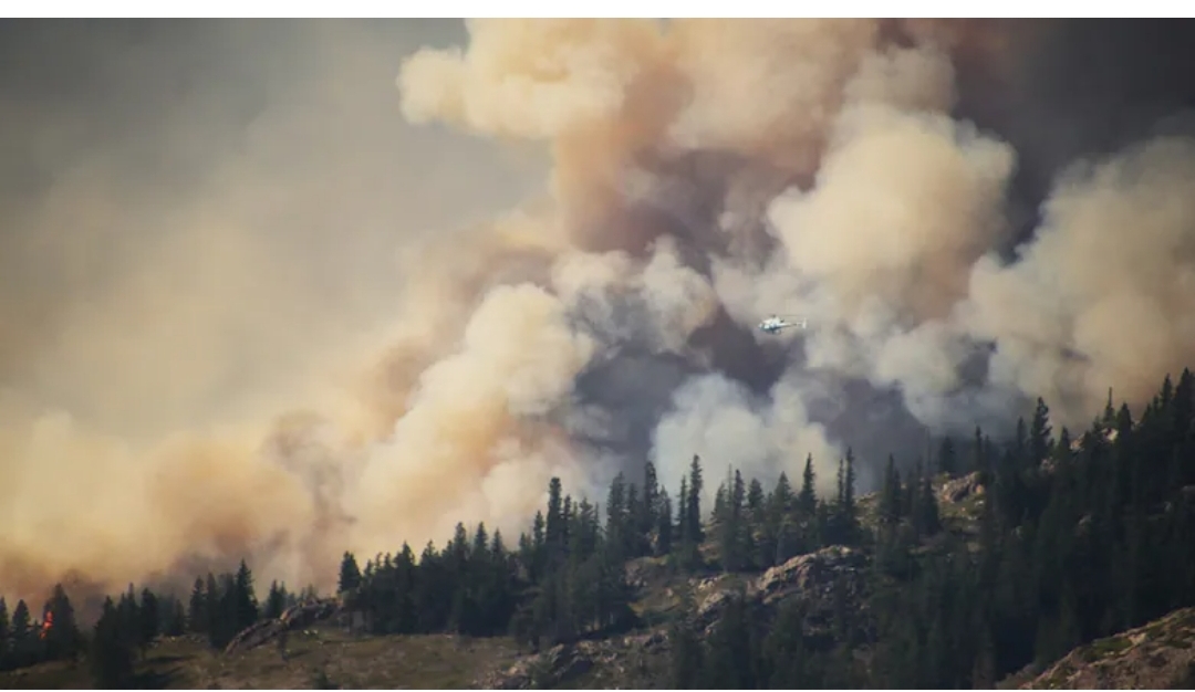 Canadian forests primed for more severe wildfire days, new research warns