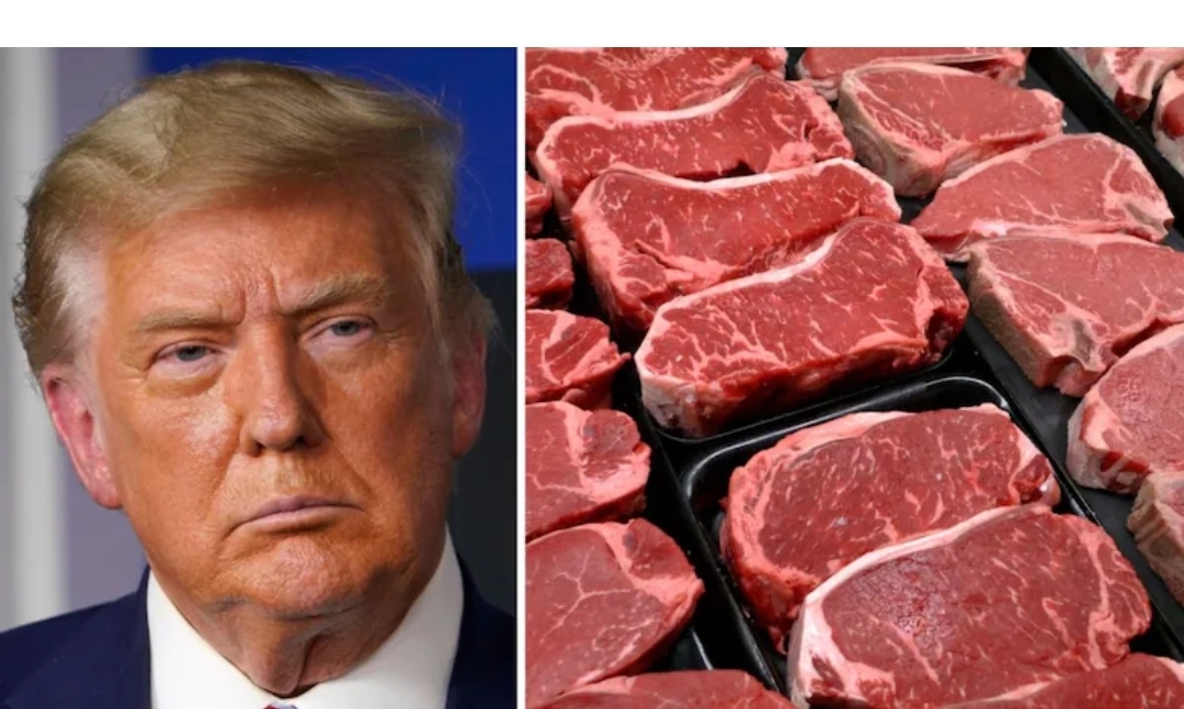 Beef sector caught in the crossfire of Trump tariff threats