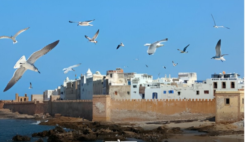 National Geographic Mesmerized by Essaouira’s Tourism Assets