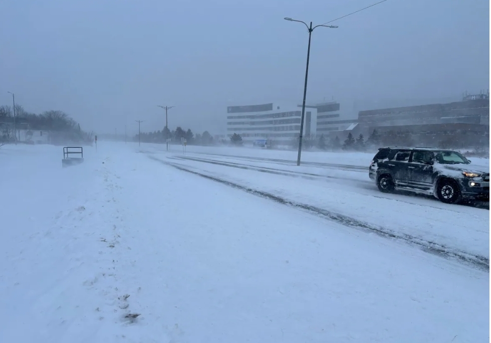 ‘Good old fashioned blizzard’ hits Avalon Peninsula, with schools closed, flights cancelled