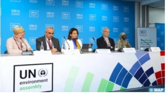 UN-Environment: Minister Benali Chairs Launching of ‘Al-Mizan: A Covenant for the Earth’ Initiative