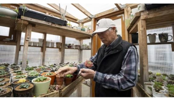 B.C. gardeners grieve as they take stock of cold snap’s toll