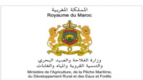 Agriculture Ministry Denies Hepatitis-A Rumors in Moroccan Strawberries