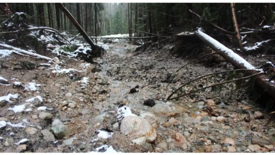 In B.C.’s forests, a debate over watershed science with lives and billions at stake