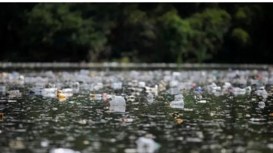 The world is struggling with plastic pollution — Canada is no exception