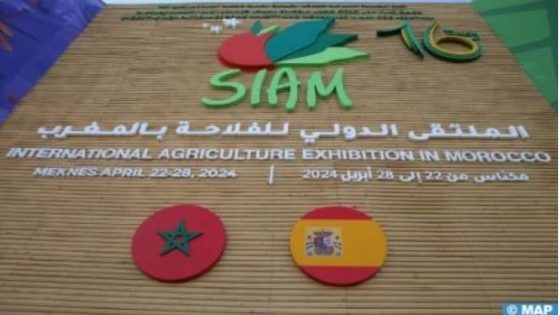 Sustainable Agriculture: Morocco’s ADA, UNDP Join Forces to Strengthen Youth Entrepreneurship