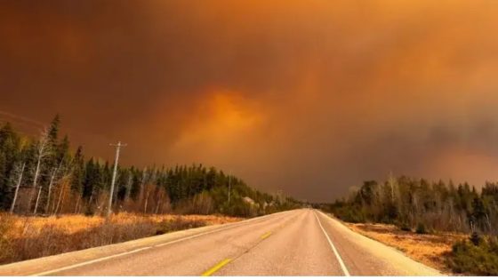 ‘It’s absolute terror’: Wildfire forces Manitoba community to retreat