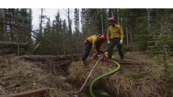 ‘Crucial springtime’: Why Alberta’s wildfire season is off to a better start this year