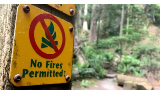 Campfire ban comes into effect in B.C. amid heightened fire risk