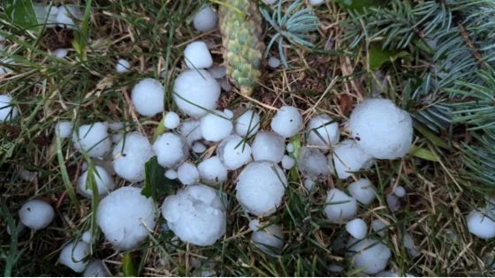 Hail and rainfall tear through Calgary amid severe thunderstorm warnings for parts of southern Alberta