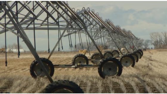 Sask. ‘moving forward’ with .15B Lake Diefenbaker Irrigation Project despite incomplete feasiblity study