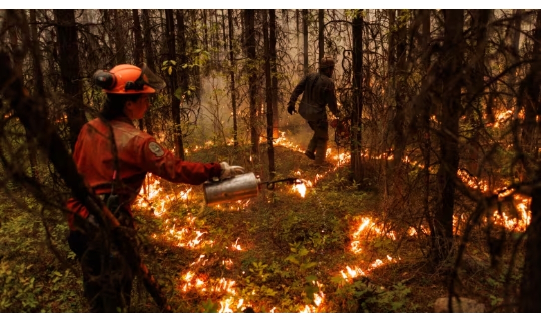 Canada should slash carbon emissions by up to 55 per cent, says climate advisory body