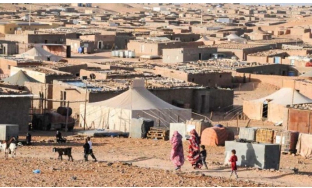 UN Sahara Report: Guterres Reiterates Concern Over Dire Humanitarian Situation in Tindouf