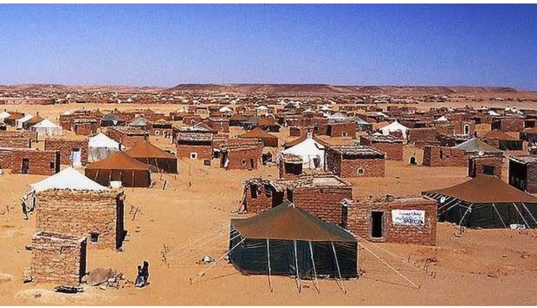 Morocco Urges Action on Humanitarian Crisis in Tindouf Camps Amid UNHCR Budget Vote