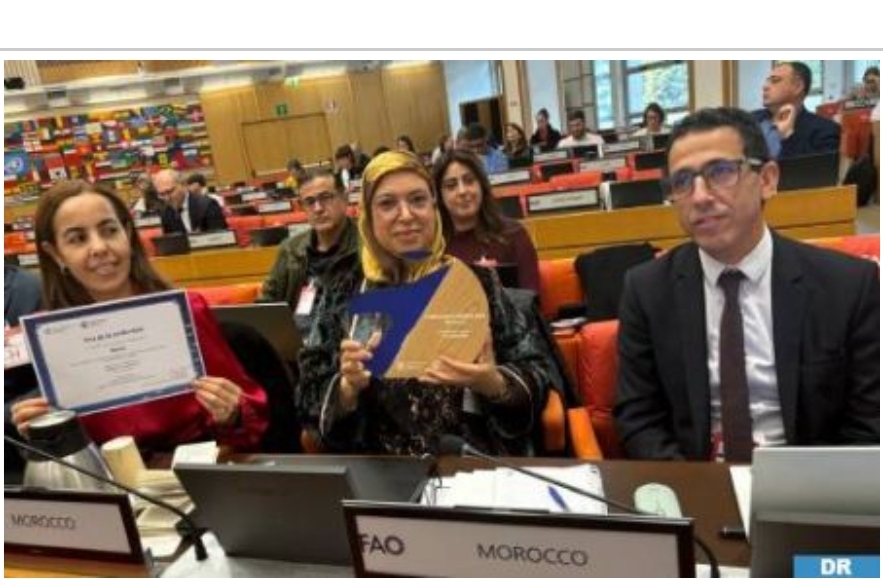 Morocco Chairs GFCM Scientific Advisory Committee in Rome, Earns Compliance Award