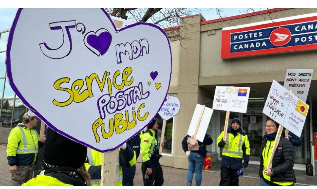 With Canada Post strike underway, small business owners scramble to make other arrangements