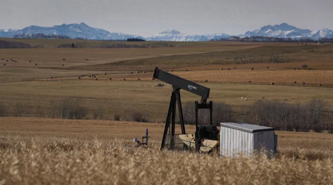 Alberta company ordered to abandon wells following months of regulatory failures