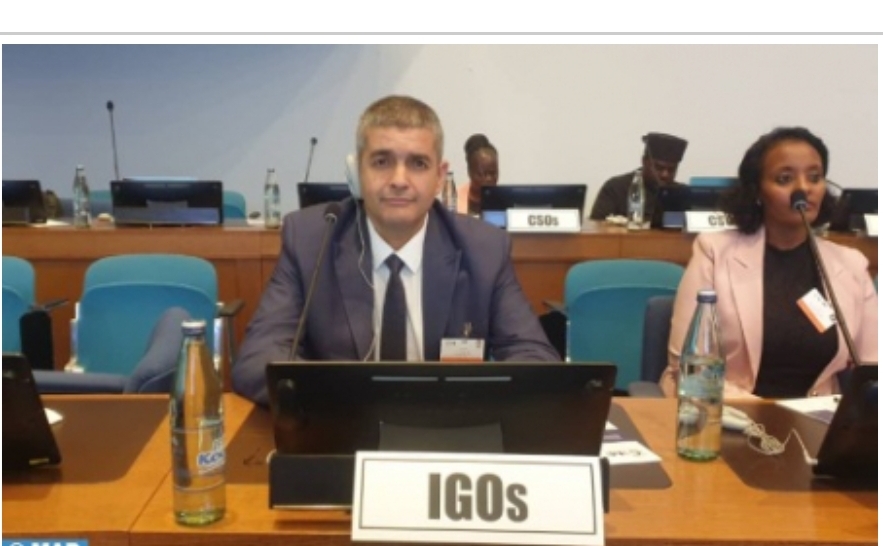 Morocco’s 57th UNECA Presidency Election Reflects African Trust in Kingdom’s Role, Says Expert