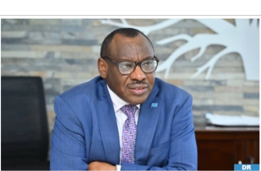 Morocco-Nigeria Gas Pipeline to Have ‘Huge’ Impact on Africa’s Energy Sector – ECA Official