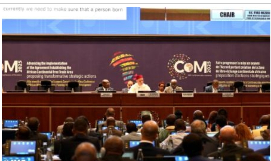 Morocco’s Industry Minister Reaffirms the Kingdom’s Steady Commitment to AfCFTA