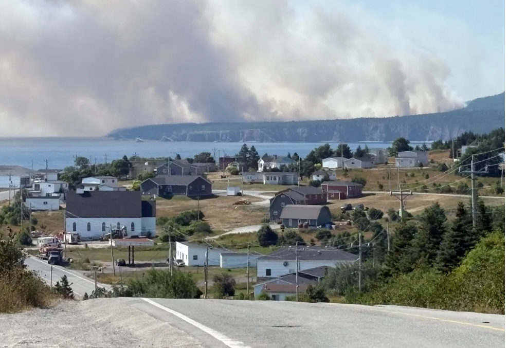 ATVs temporarily banned from forested areas in N.L., says premier