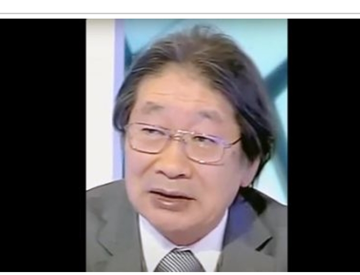 Autonomy Initiative Enshrined by UNSC Resolution, Politically Visionary, Legally Essential – Japanese Expert