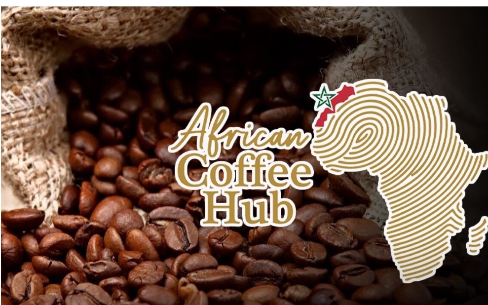 Morocco Launches African Coffee Hub at Tanger Med Port Complex