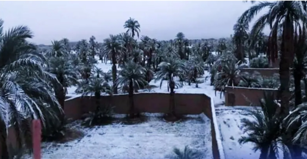 Weather Office Expects Snowfall, Strong Wind in Several Provinces Across Morocco