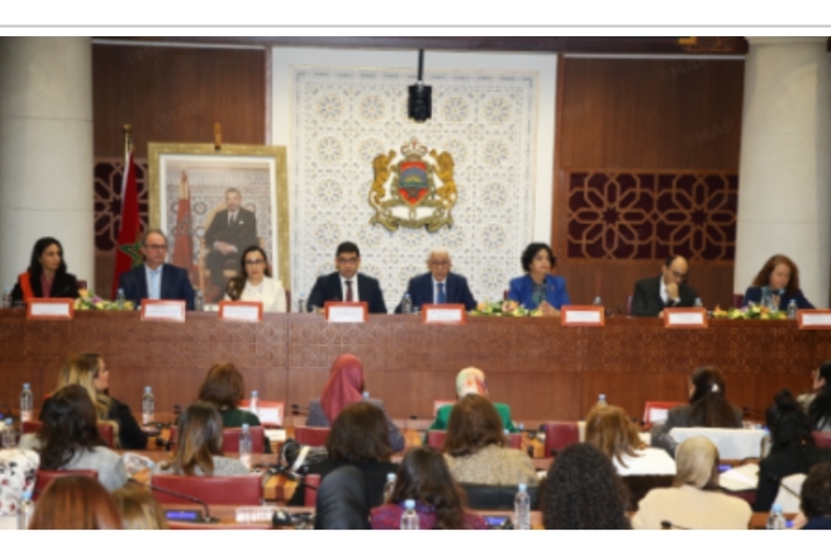 Morocco Made Remarkable Progress in Women’s Political Empowerment – Lower House Speaker