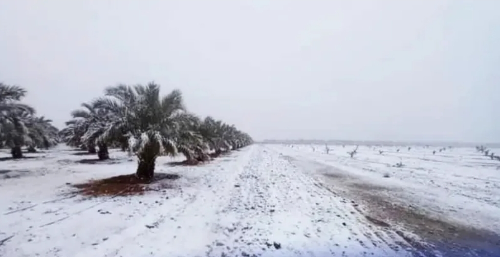 Thunderstorms to Continue in Morocco Until Sunday