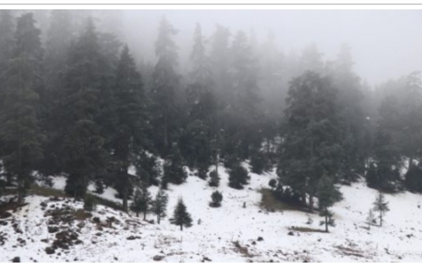 Heavy Rain, Snowfall & Strong Winds on Friday and Saturday in Several Moroccan Provinces – Weather Alert