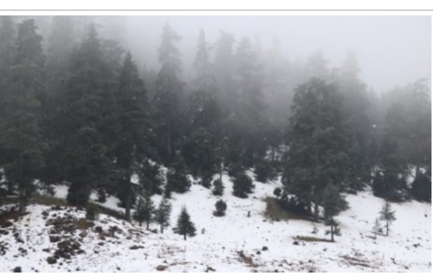 Heavy Rain, Snowfall Expected Friday & Saturday in Several Moroccan Provinces