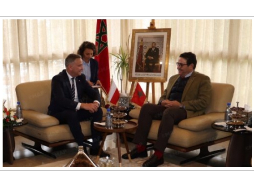 Morocco, Poland Explore Ways to Step Up Transport Cooperation