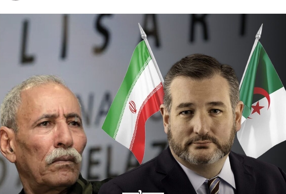 Senator Ted Cruz Slams US Officials for Avoiding Reference to Polisario Terror Links
