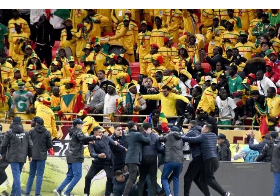 Senegalese Fans Receive 3-Month to 1-Year Sentences Over Vandalism in AFCON Final