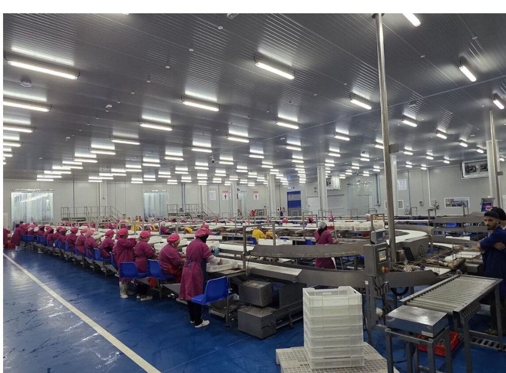 Tunamax, Gaictech to Launch Morocco’s Largest High-Tech Tuna Canning Plant