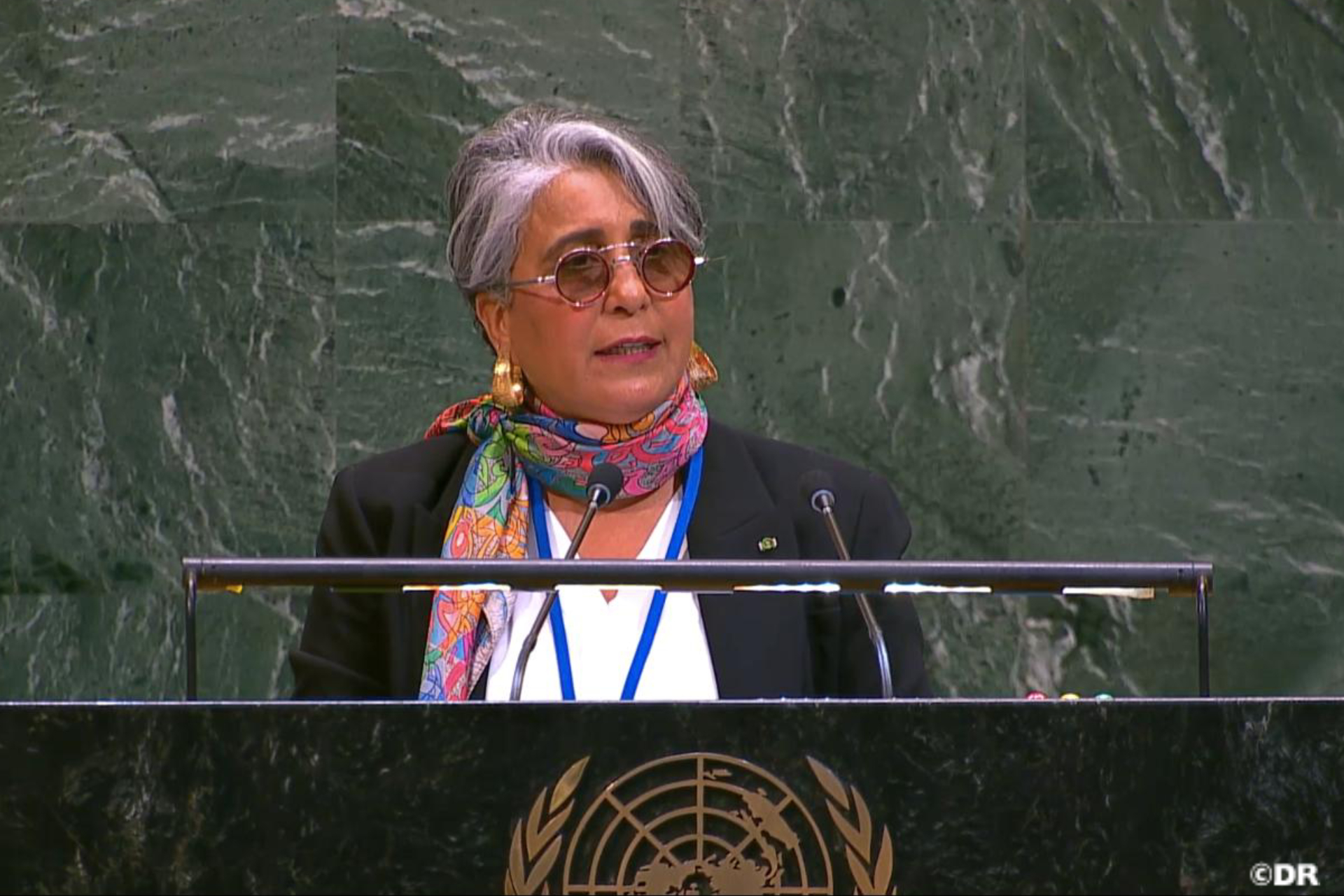 Road Safety: El Moutawakel Calls at UN for New Vision of Mobility